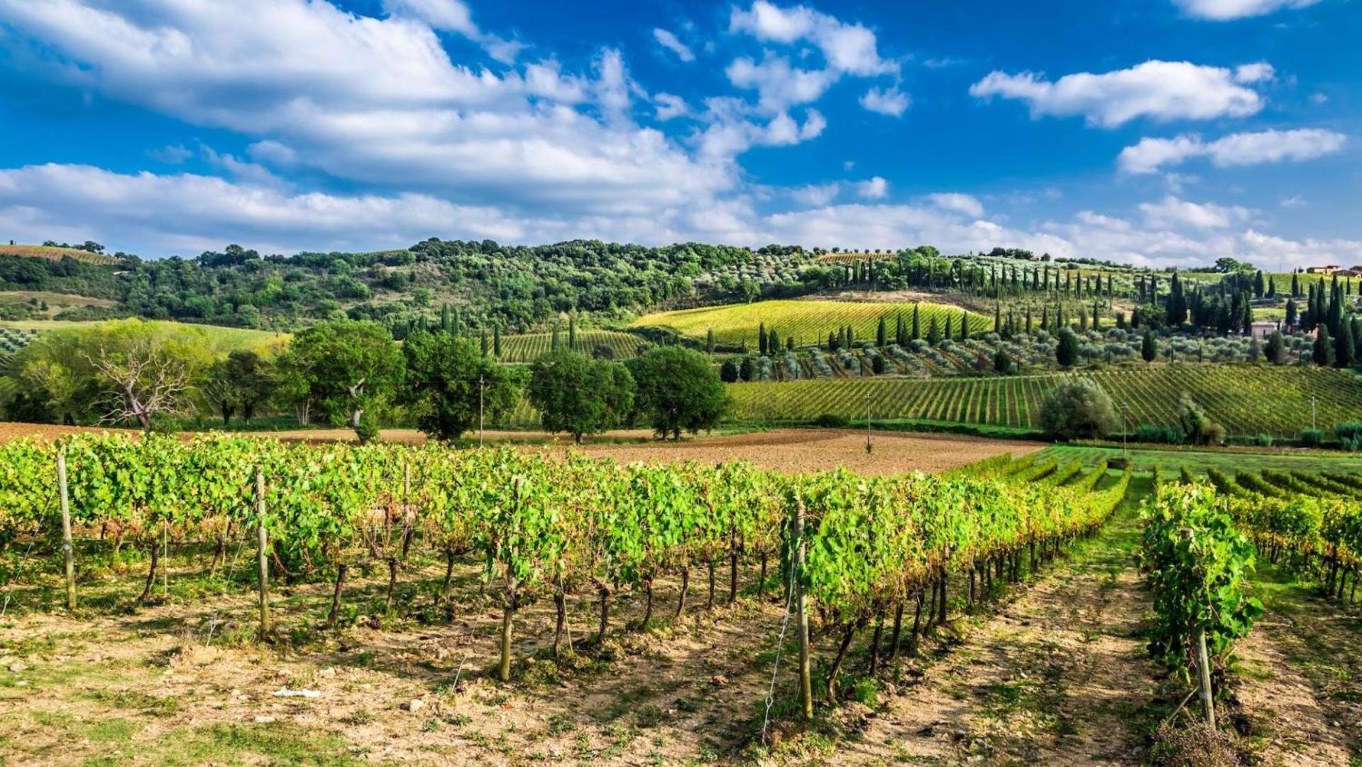 Terre Gialle - La Val D'Orcia Nascosta Castel del Piano  Zewnętrze zdjęcie