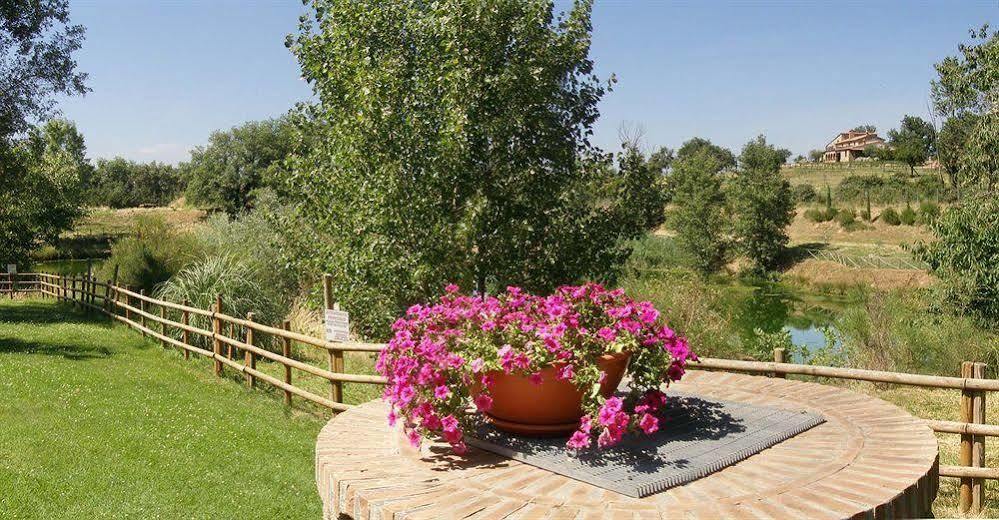 Terre Gialle - La Val D'Orcia Nascosta Castel del Piano  Zewnętrze zdjęcie
